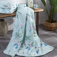 梦洁家纺抗菌夏被:蔓绿沁心1010289275 LY