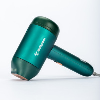 西屋手持挂烫机 WH-PG006B