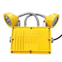 正辉(CHHI)YCL8326 AC220V/DC2.4V 2×5W 应急时间90min应急照明灯具 黄色 单位:盏