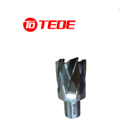 TEDE X型直角柄高速钢钻头 YD-ZTL25 个