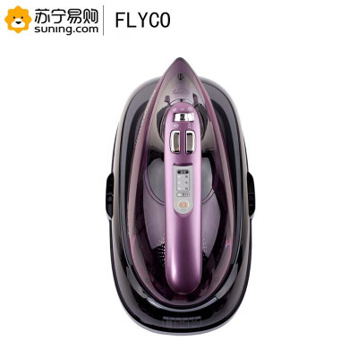 飞科(FLYCO) 蒸汽电熨斗FI9321 (Z)