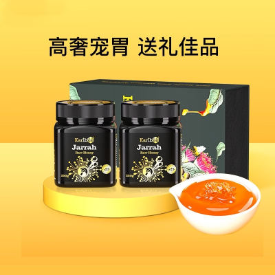 Karibee澳洲原装进口超麦卢卡桉树蜂蜜TA15+500g*2