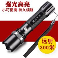 泰拉德安保防爆器材防暴装备安防设备反恐器械保安用品照明 强光手电筒