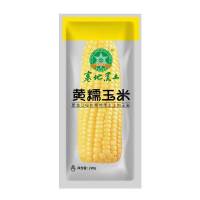 寒地黑土 东北黄糯玉米220g*10 软糯香甜新玉米 真空锁鲜 源头直发