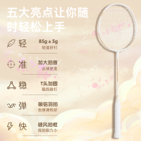 世纪曙光羽毛球拍z