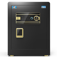 虎牌(tiger)保险柜指纹密码保管柜全钢防盗可入墙入柜保险箱 博瑞系列 45cm 钢琴黑