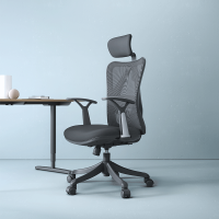 西昊人体工学电脑椅 M16-201-黑色-PP脚-固定扶手-网+棉头枕(波浪网)(张)