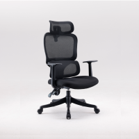 西昊人体工学电脑椅 M56D-V2-101/黑框黑网/双背/固定扶手/棉座/3级/PP脚(张)