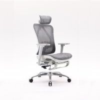 西昊人体工学电脑椅 M57C-202-JT/灰框灰网/单背/4D联动扶手/固定座/3级/钢脚/脚踏(张)
