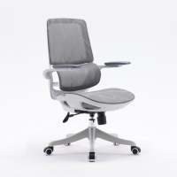 西昊人体工学电脑椅 M59BS-401/白+灰框灰网/全网/双背/3D活动扶手/固定座/3级/PP脚(张)