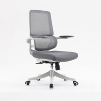 西昊人体工学电脑椅 M59DSB-301/白+灰框灰网/双背/3D活动扶手/固定座/3级/PP脚/棉坐(张)