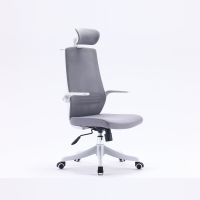西昊人体工学电脑椅 M76A-101/白框灰网/单背/活动扶手/固定座/3级/PP脚(头枕款)(张)