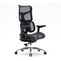 西昊人体工学电脑椅 S100-501/黑框黑网/三背/4D扶手/滑动座/线控/4级/PA脚(张)
