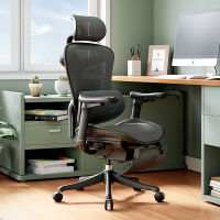西昊人体工学电脑椅 C100-101-JT/黑框黑网/双背/4D扶手/滑动座/线控/PA椅脚/脚踏(张)