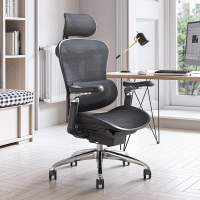 西昊人体工学电脑椅 C300-101/黑框黑网/双背/6D扶手/滑座/线控/4级/铝合金脚(张)