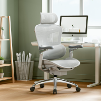 西昊人体工学电脑椅 C300-102/白框白网/双背/6D扶手/滑座/线控/4级/铝合金脚(张)