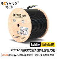 博扬 GYTA53重铠地埋单模室外光缆 12芯光缆 层绞式直埋光缆铠装通信光纤线 100米 BY-GYTA53-12B1