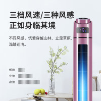 SAMPO电风扇空调扇落地无叶风扇家用塔扇台式卧室立体风扇遥控塔扇土豪金高110CM(自然风)
