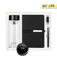 智美环球 温控玻璃杯套装四件套 A5平装本+350ml温控杯+16g优盘+金属笔 商务礼品套装
