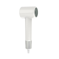 笨笨马(BenBenMa)BC02 家用入门款高速吹风机 大风力速干低噪音学生宿舍便携风筒 520情人节礼物