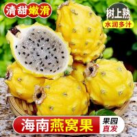 中粮海南燕窝果孕妇水果树上熟新鲜当季现摘大果,单果4-5两,2斤(4-5个) 礼盒装