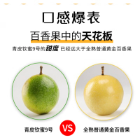 中粮海南钦蜜9号黄金百香果 (送开果器)中大果,单果60-70g,3斤 经典礼盒