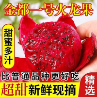 中粮金都一号红心火龙果当季新鲜现摘海南水果单果5-8两,5斤(7-9个) 礼盒装