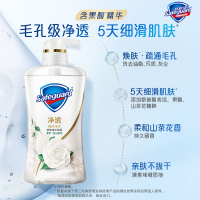 舒肤佳(Safeguard)净透啫喱沐浴露 山茶花香味570g 男女士通用 清香四溢 送老婆情人节礼物