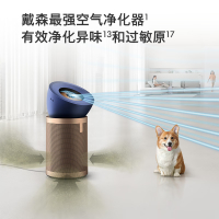 戴森(DYSON) BP04空气净化器 大面积净化异味和过敏原 滤除花粉 宠物毛发 输出洁净凉风 [蓝金色]