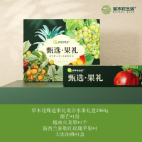 中粮 草木花甄选果礼混合水果礼盒2060g 澳芒*1份 越南火龙果*1个 新西兰泰勒红玫瑰苹果*4 大连油桃*1盒