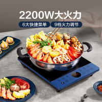 苏泊尔(SUPOR)电磁炉电磁炉套装电磁灶家用大功率炒菜火锅一体9档大火力可调超猛火双层聚能线圈C22-IH30E9D