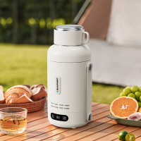 蓝宝(BLAUPUNKT) 电水壶便携式烧水壶家用旅行户外大容量电热水杯保温壶 双层不锈钢防烫电热水壶BP-DRB025
