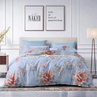 富安娜(FUANNA) 磨毛四件套-云锦星晴 磨毛印花 被套*1件床单*1件枕套*2件