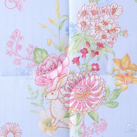 富安娜(FUANNA) 欣瑞抗菌四季被 磨毛印花(聚酯纤维) 203*229cm(1000g)