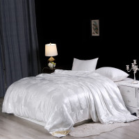 啄木鸟 贡缎蚕丝棉被 贡缎蚕丝棉夏被 200*230cm 家用办公室用 多场所应用