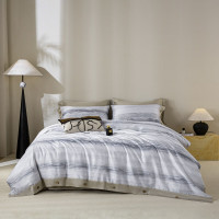 啄木鸟 清逸天丝四件套(灵若灰) 灵若灰 床单款 (被套200*230cm)