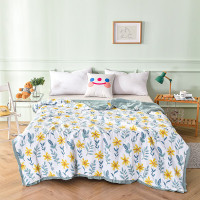 啄木鸟 知夏超柔夏被(倾夏) 水洗棉(填充超柔羽丝棉) 150*200cm