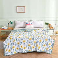 啄木鸟 知夏超柔夏被(倾夏) 水洗棉(填充超柔羽丝棉) 200*230cm