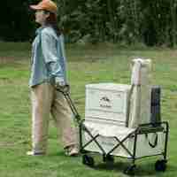 大迈 DM-2006 露营折叠车(升级款) 耐磨抗撕裂 铁管坚固耐用