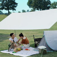 大迈 DM-1009 星际飞越天幕 银河系 防泼水 小巧便捷 大自然触手可及