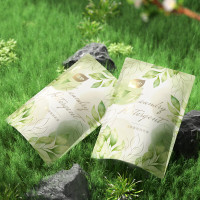 植护 ZH8488 植护樱花树下植萃香氛洗衣液 500g/袋 1袋