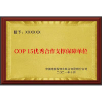 云兔 金沙奖牌 40*60 模范职工小家优秀员工优秀合作支撑保障单位奖牌