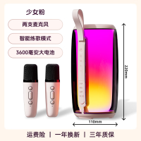 纽曼(Newmine) M18 双话筒K歌蓝牙音响 双话筒K歌麦克风音响一体式ktv音响套装 颜色随机