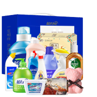 蓝月亮 蓝月亮家庭清洁13件套LYL241015005 轻松满足日常清洁所需