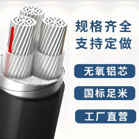 亿鑫隆(YIXINLONG) 3芯铝芯电缆线16平方国标铠装地埋电力电缆线 3*16 YJLV22一米