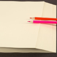 幸运鸟 多功能打印纸 书籍纸 本色版纸80g 全开787*1092mm