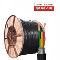 辛丰 电线电缆 国标YJV22 3*4平方 3芯铠装地埋电缆线 1m