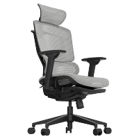 高田赛雷人体工学椅子办公椅电竞电脑椅可躺久坐护腰午睡舒适椅 赛雷标准款灰色 |140°后仰 | 3D扶手