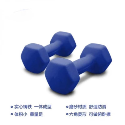 哑铃 2.5kg 运动器材