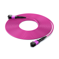 胜为智算400G 800GMPO光纤跳线母头24芯OM4 低烟无卤 3.0mm 30M SW-244MU-30M